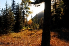 Park Creek trail view