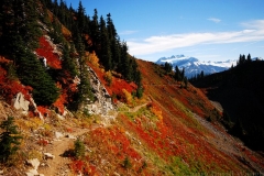 Mt. Olympus from High Divide