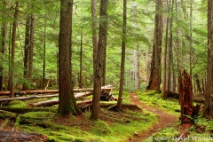 Fourth of July Pass Trail