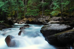 Avalanche Creek